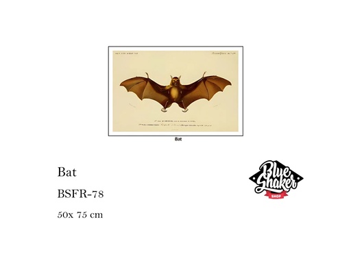 [MHT-001134] Bat