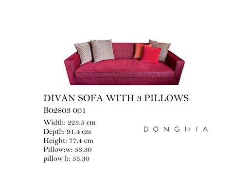 [MHT-002196] DIVAN SOFA  WITH 3 PILLOWS (53CM X 53CM)