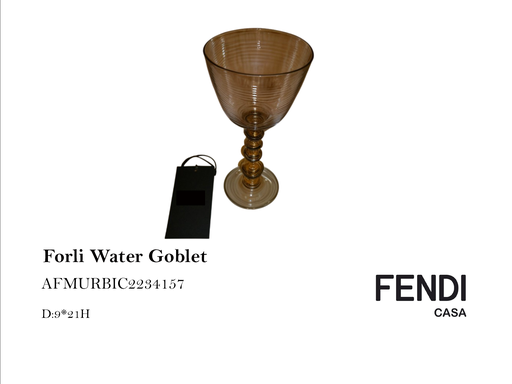 [MHT-000163] FORLI' WATER GOBLET