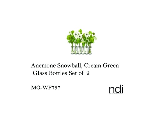 [MHT-001288] ANEMONE SNOWBALL, CREAM GREEN, GLASS BOTTLES