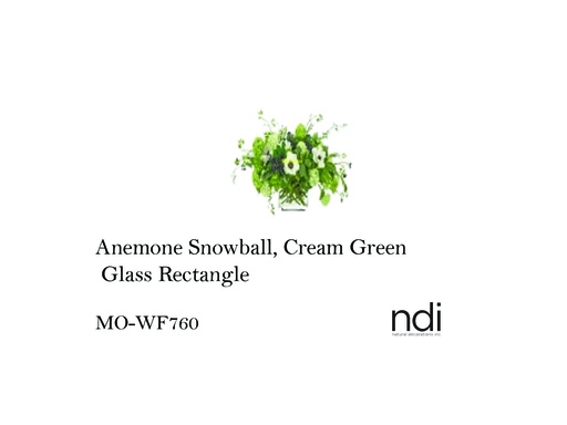 [MHT-001289] ANEMONE SNOWBALL, CREAM GREEN, GLASS RECTANGLE