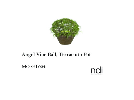 [MHT-001290] ANGEL VINE BALL, TERRACOTTA POT