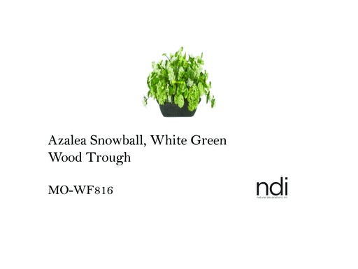 [MHT-001424] AZALEA SNOWBALL, WHITE GREEN, WOOD TROUGH