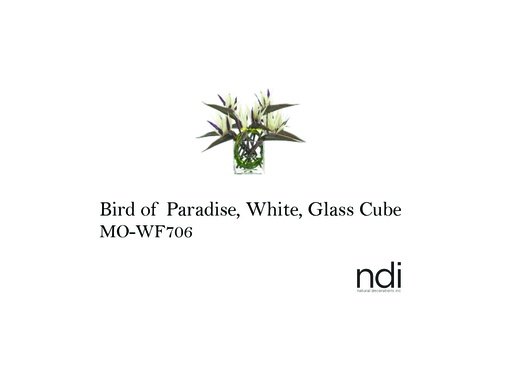[MHT-001504] BIRD OF PARADISE, WHITE, GLASS CUBE
