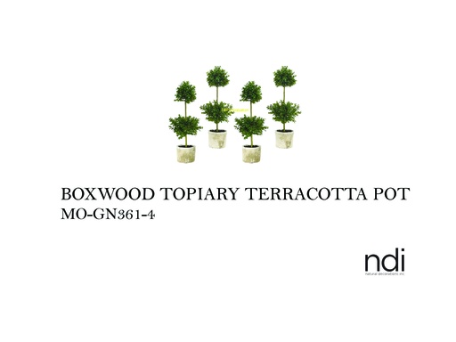 [MHT-001559] BOXWOOD TOPIARY TERRACOTTA POT