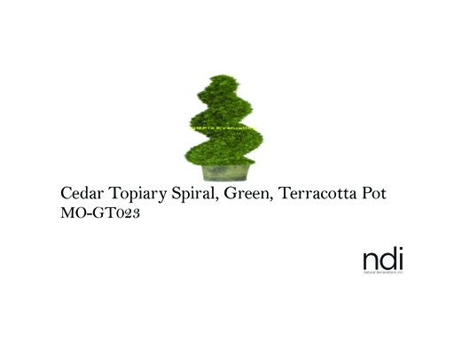 [MHT-001734] CEDAR TOPIARY SPIRAL, GREEN, TERRACOTTA POT