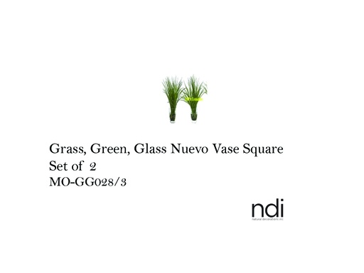 [MHT-002421] GRASS, GREEN, GLASS NUEVO VASE SQUARE, SET OF 2