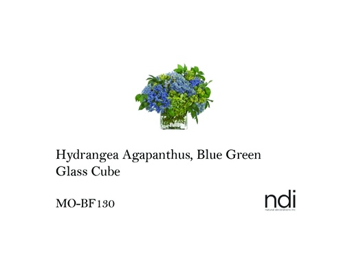 [MHT-002493] HYDRANGEA AGAPANTHUS, BLUE GREEN, GLASS CUBE