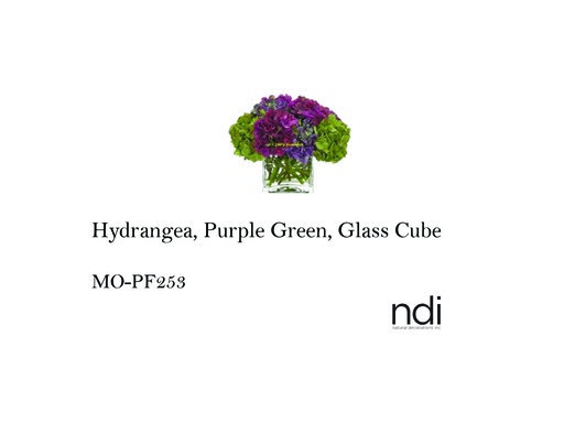 [MHT-002496] HYDRANGEA, PURPLE GREEN, GLASS CUBE