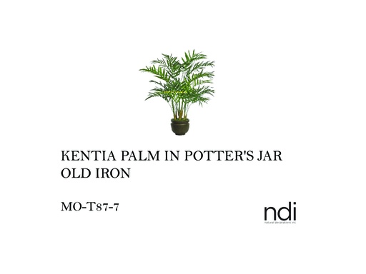 [MHT-002595] KENTIA PALM IN POTTER'S JAR OLD IRON