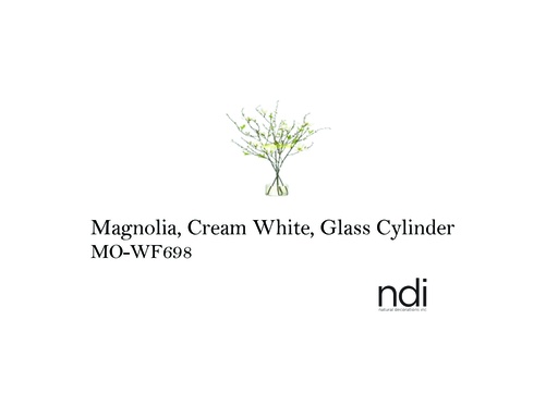 [MHT-002765] MAGNOLIA, CREAM WHITE, GLASS CYLINDER
