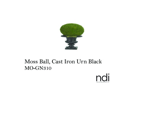 [MHT-002924] MOSS BALL, CAST IRON URN BLACK