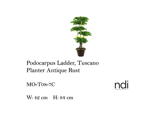 [MHT-003191] PODOCARPUS LADDER, TUSCANO PLANTER ANTIQUE RUST