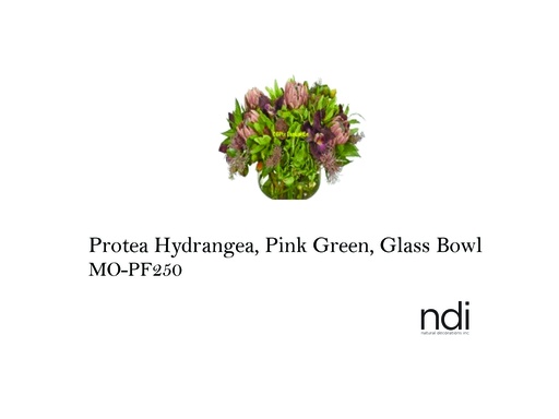 [MHT-003234] PROTEA HYDRANGEA, PINK GREEN, GLASS BOWL