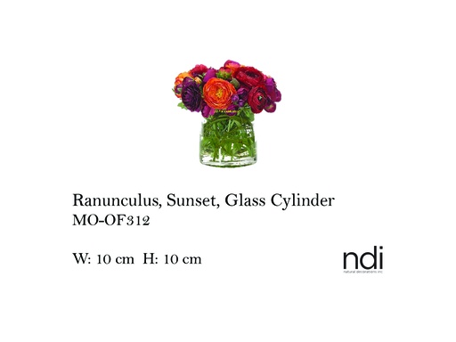 [MHT-003252] RANUNCULUS, SUNSET, GLASS CYLINDER
