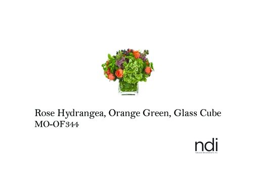 [MHT-003320] ROSE HYDRANGEA, ORANGE GREEN, GLASS CUBE