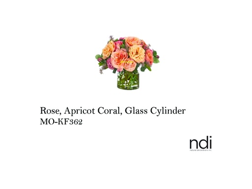[MHT-003324] ROSE, APRICOT CORAL, GLASS CYLINDER