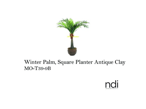 [MHT-003335] ROYAL PALM, POTTERS JAR, ANTIQUE CLAY