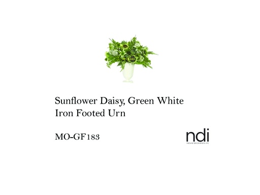 [MHT-003539] SUNFLOWER DAISY, GREEN WHITE, IRON FOOTED URN
