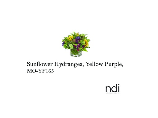 [MHT-003540] SUNFLOWER HYDRANGEA, YELLOW PURPLE, GLASS CUBE