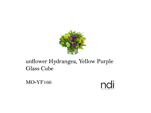 [MHT-003787] UNFLOWER HYDRANGEA, YELLOW PURPLE, GLASS CUBE