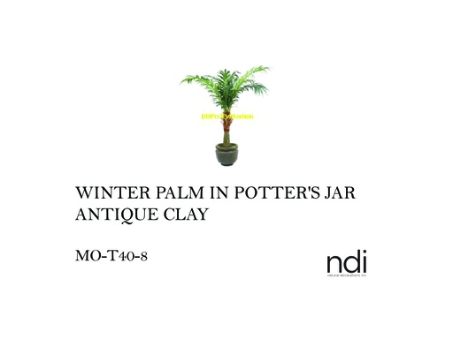[MHT-003872] WINTER PALM IN POTTER'S JAR ANTIQUE CLAY