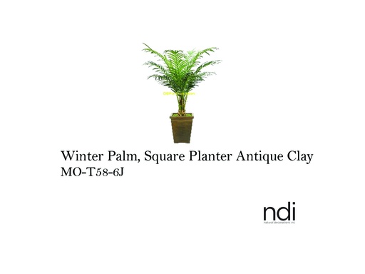 [MHT-003873] WINTER PALM, SQUARE PLANTER ANTIQUE CLAY