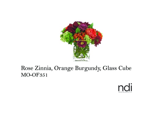 [MHT-004090] ROSE ZINNIA, ORANGE BURGUNDY, GLASS CUBE