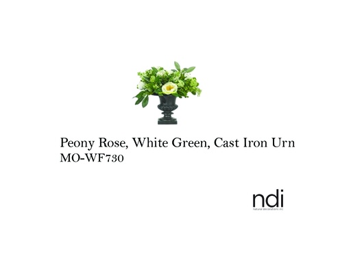 [MHT-004092] PEONY ROSE, WHITE GREEN, CAST IRON URN