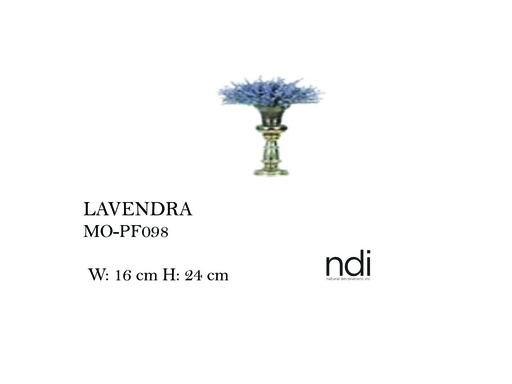 [MHT-004198] LAVENDER