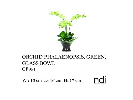 [MHT-004568] ORCHID PHALAENOPSIS GLASS BOWL