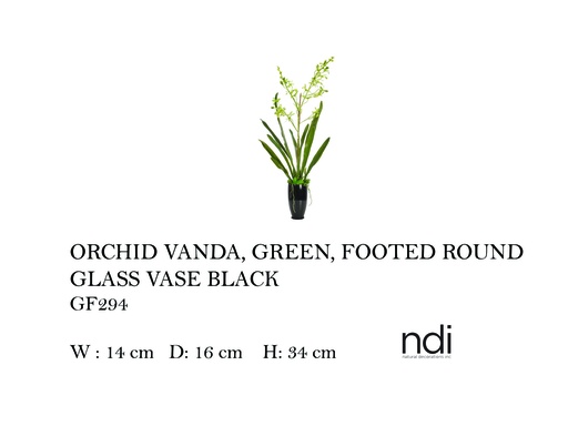 [MHT-004571] ORCHID VANDA