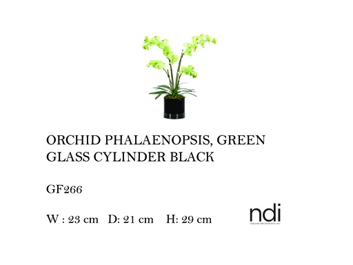 [MHT-004572] ORCHID PHALAENOPSIS GLASS CYLINDER