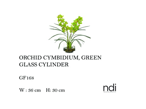 [MHT-004574] ORCHID CYMBIDIUM