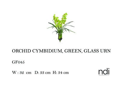 [MHT-004575] ORCHID CYMBIDIUM, GREEN, GLASS URN