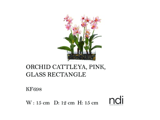 [MHT-004577] ORCHID CATTLEYA, PINK, GLASS RECTANGLE