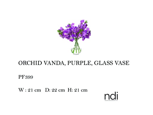 [MHT-004581] ORCHID VANDA, PURPLE, GLASS VASE