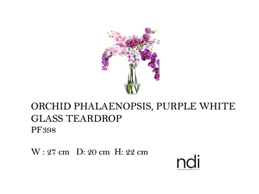 [MHT-004582] ORCHID PHALAENOPSIS, PURPLE WHITE, GLASS TEARDROP
