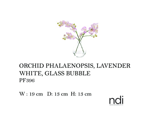 [MHT-004583] ORCHID PHALAENOPSIS, LAVENDER WHITE, GLASS BUBBLE,