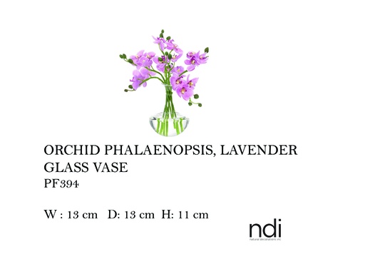 [MHT-004585] ORCHID PHALAENOPSIS, LAVENDER, GLASS VASE,