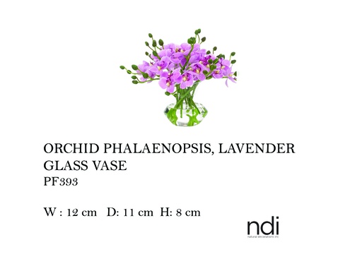 [MHT-004586] ORCHID PHALAENOPSIS, LAVENDER, GLASS VASE