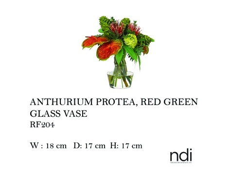 [MHT-004588] ANTHURIUM PROTEA, RED GREEN, GLASS VASE