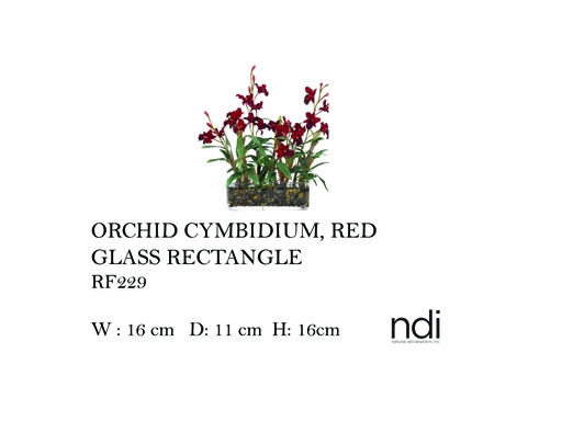 [MHT-004589] ORCHID CYMBIDIUM, RED, GLASS RECTANGLE,