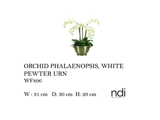 [MHT-004592] ORCHID PHALAENOPSIS, WHITE, PEWTER URN