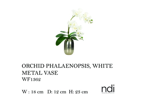 [MHT-004599] ORCHID PHALAENOPSIS, WHITE, METAL VASE