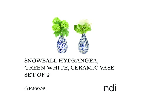 [MHT-004608] SNOWBALL HYDRANGEA, GREEN WHITE, CERAMIC VASE, SET OF 2