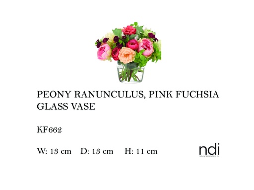 [MHT-004610] PEONY RANUNCULUS, PINK FUCHSIA, GLASS VASE,