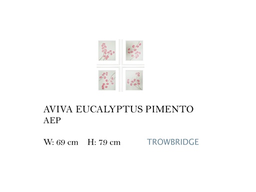 [MHT-001422] AVIVA EUCALYPTUS PIMENTO (SET OF 4)