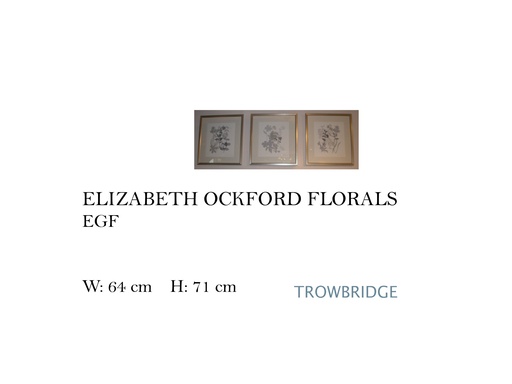 [MHT-002250] ELIZABETH OCKFORD FLORALS