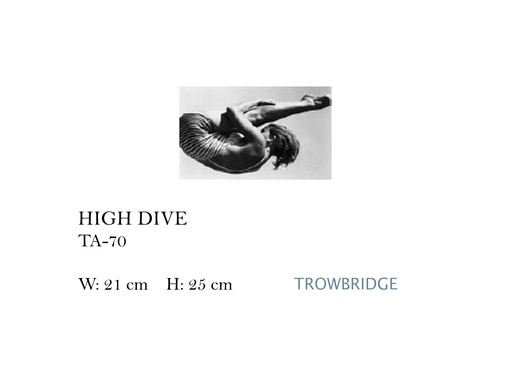 [MHT-002468] HIGH DIVE